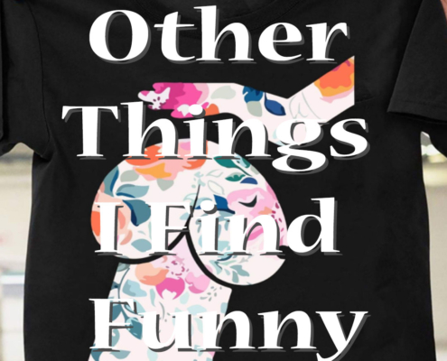 Other Things I Find Funny